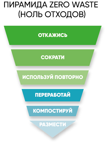 Инфографика Екатерины Сорвиной 