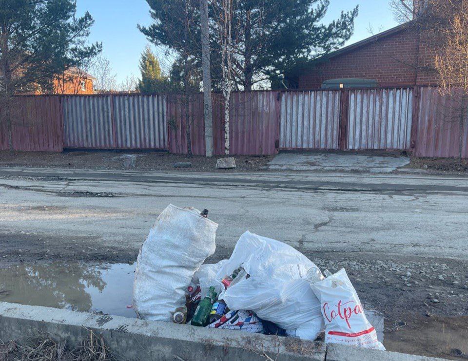 Весь этот мусор Яна Низамова с семьей собрали за 30 минут прогулки на Кабалинских родниках. Фото предоставлено Яной Низамовой.